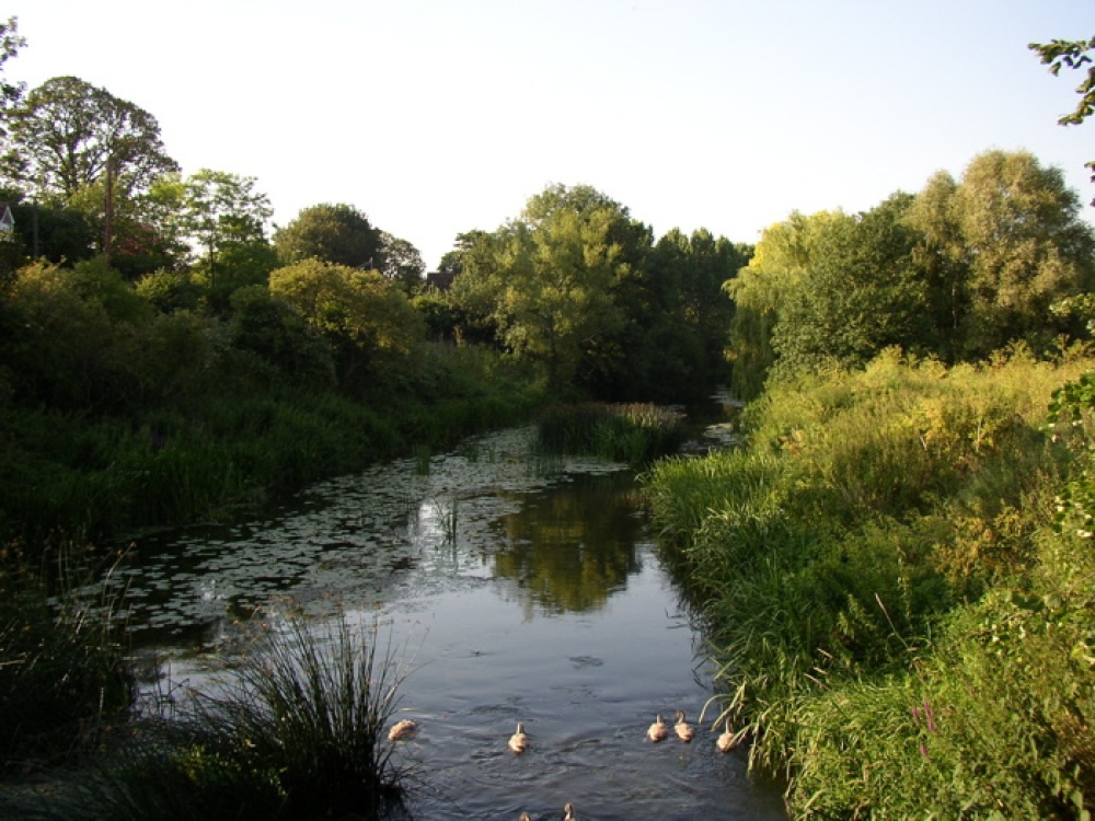 Photograph of The river Avon at Reybridge, Wiltshire. Taken during the summer of 2004