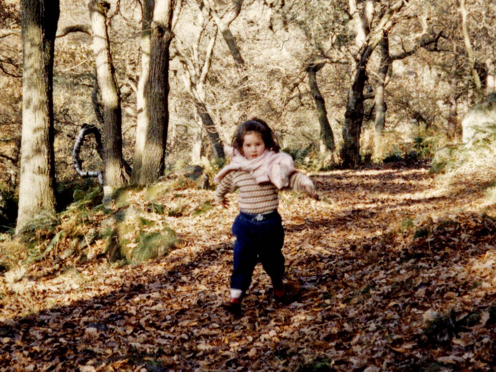 In Padley Wood, near Nether Padley and Grindleford