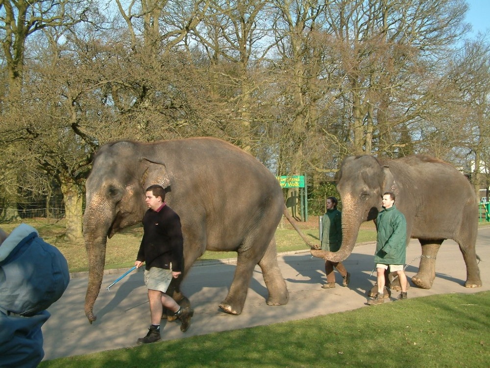 Whipsnade Zoo