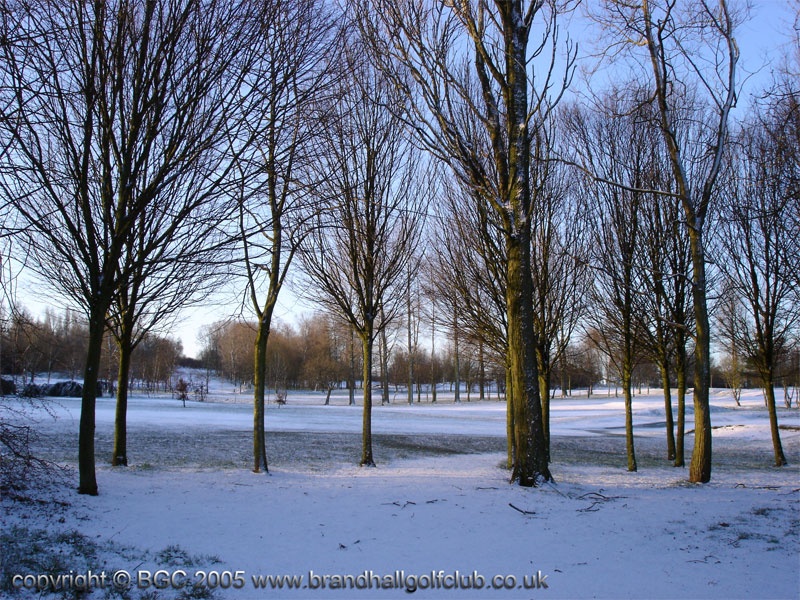 Winter view of the Brandhall Golf Course, West Midlands photo by Jeffrey P Brookes