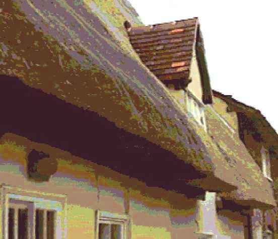 Complicated thatchwork on a cottage roof in Ickleford, Essex.  Near Saffron Walden.