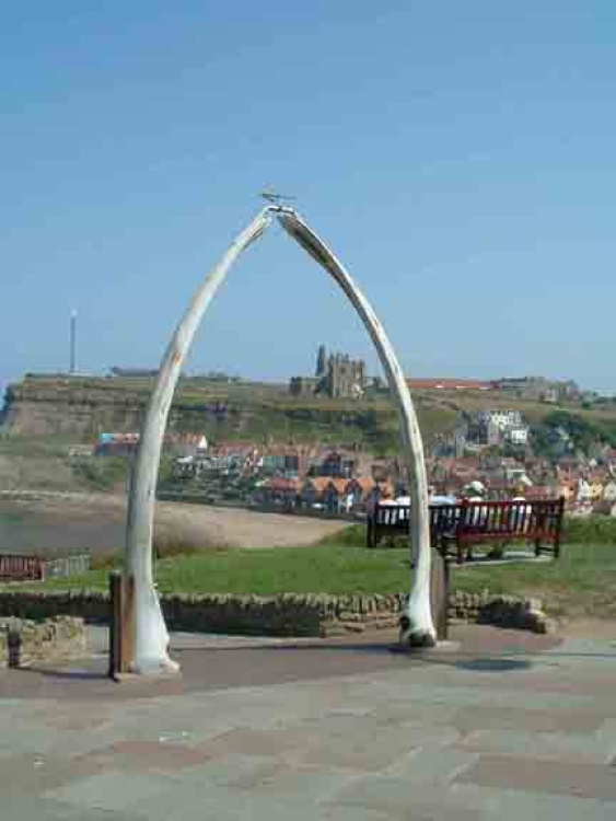 The whale bones at Whitby, North Yorkshire