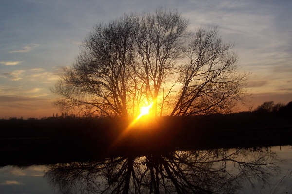 Ferry Meadows