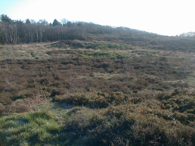 Top of Caldy Hill, Wirral