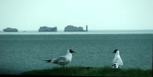 The Needles from Milford-on-Sea.