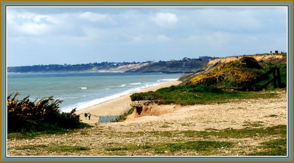 Gorse at Milford-on-Sea, Hampshire