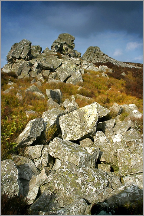 Stiperstones, Shropshire. UK