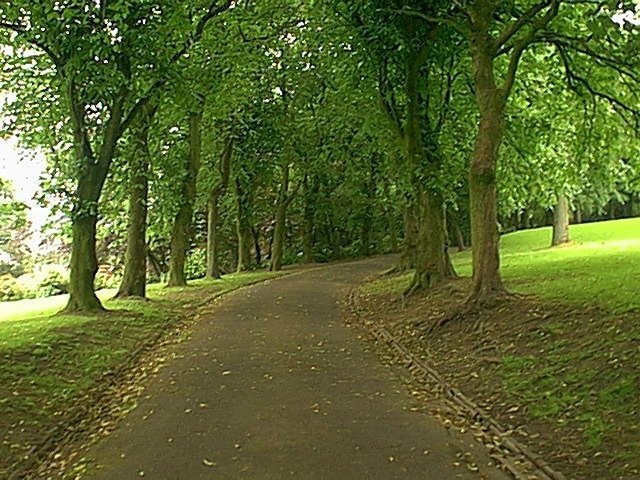 Rhyddings Park, Oswaldtwistle