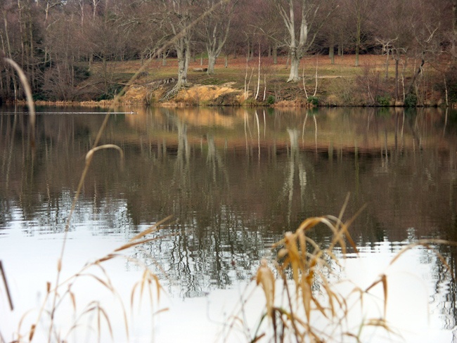 Virginia Water, Surrey