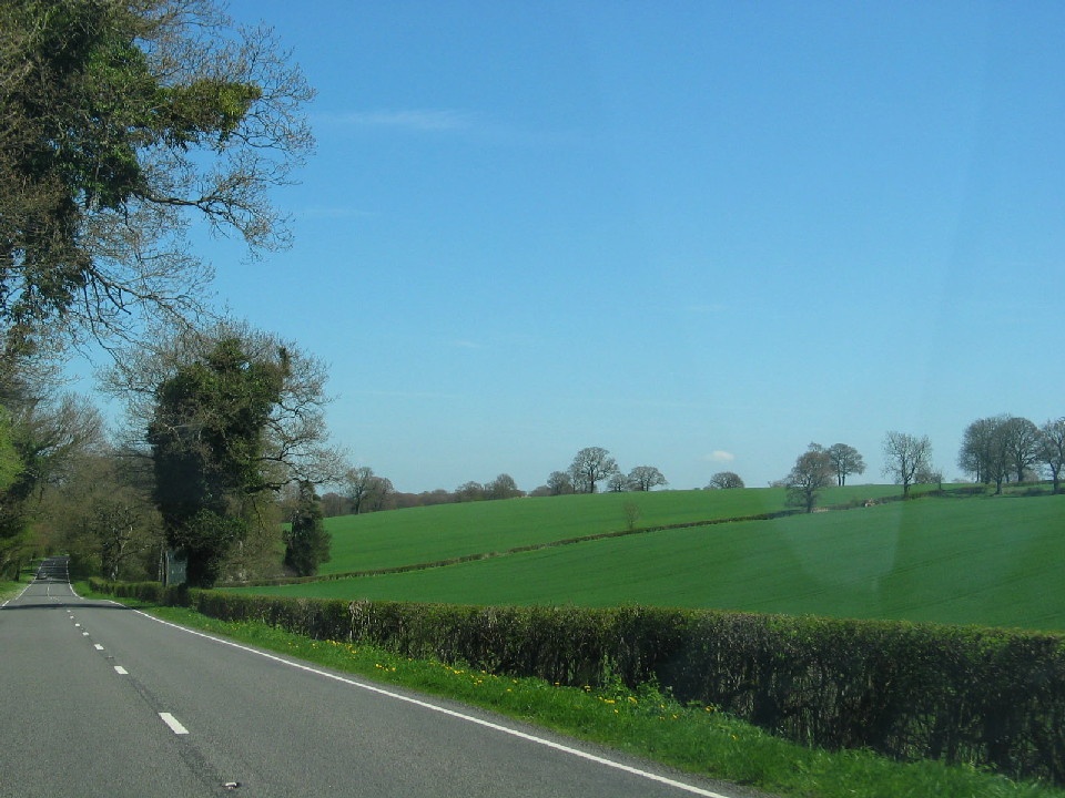 Green fields in Hampshire