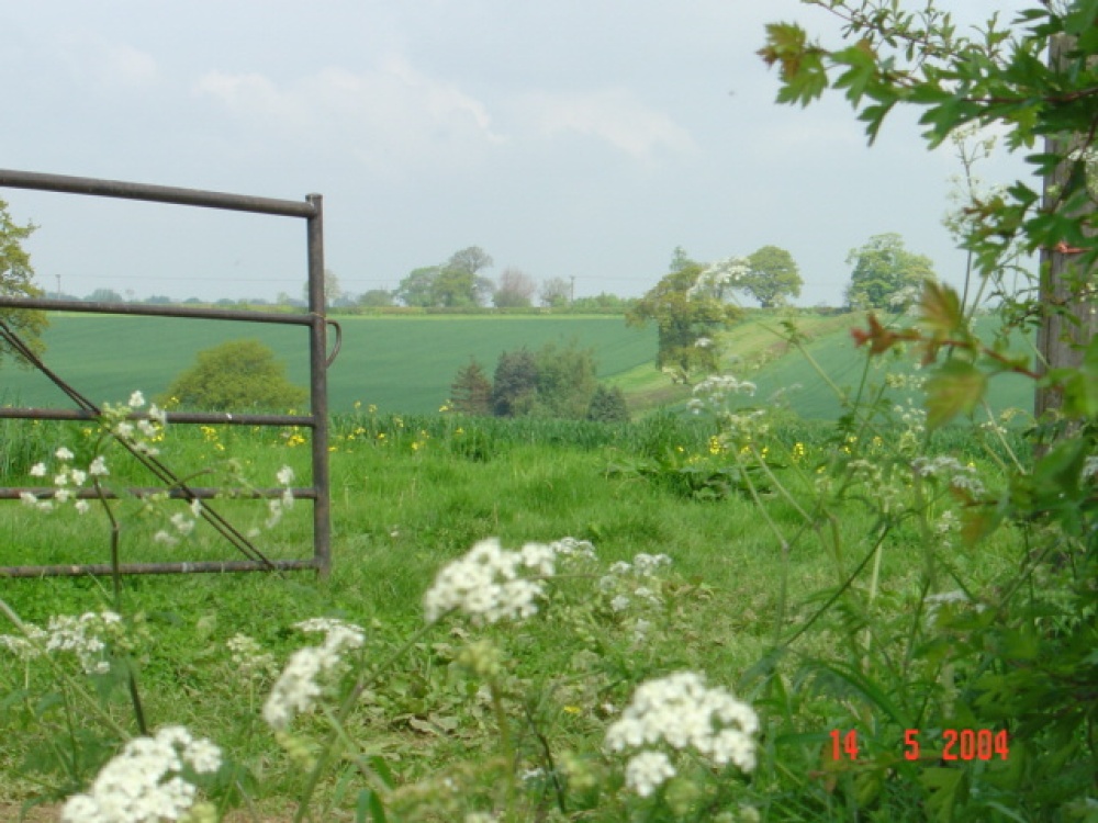 Photograph of Norton, Northamptonshire