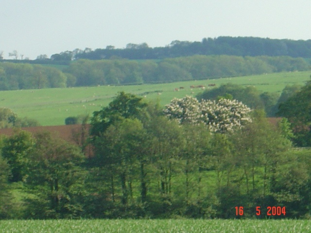 Photograph of Norton, Northamptonshire