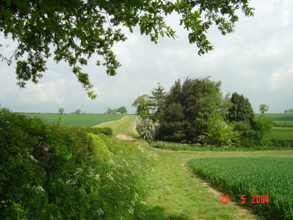 Photograph of The Bridle Path, Norton, Northamptonshire