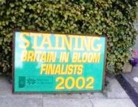 Staining-in-bloom finalists 2002