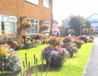 Staining - the little village of many flowers