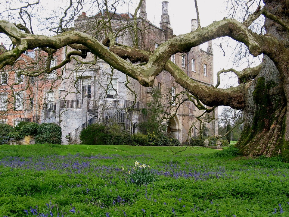 Mottisfont Abbey