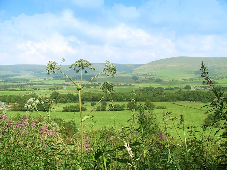 Longridge Fell, Ribble Valley