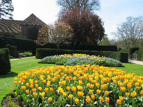 Flowers at The Vyne photo by Robin Granse