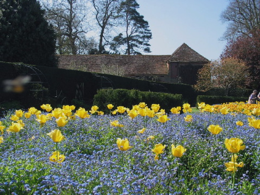 The gardens at The Vyne, Basingstoke, Hampshire.