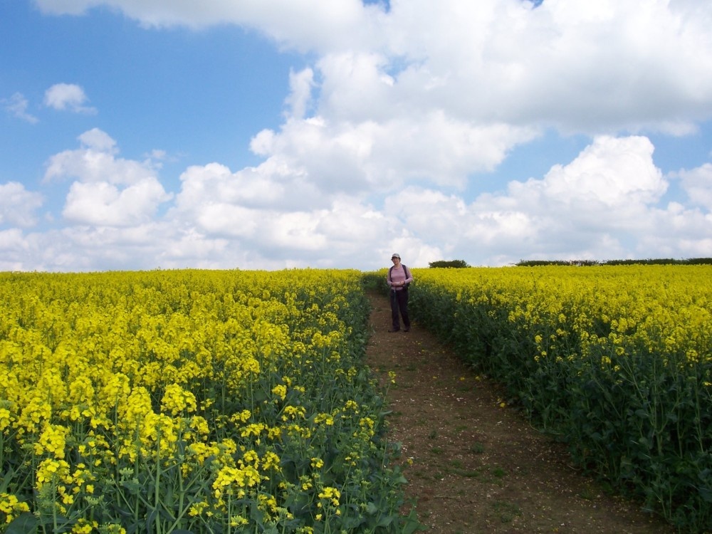 Photograph of Nr Binbrook, Lincolnshire