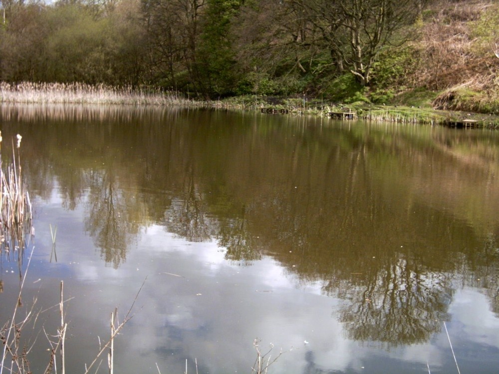 The pond on the way to Philips Park, Whitefield