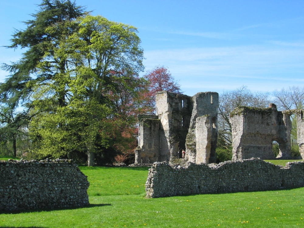 Bishop's Waltham Palace Ruins photo by Robin Granse