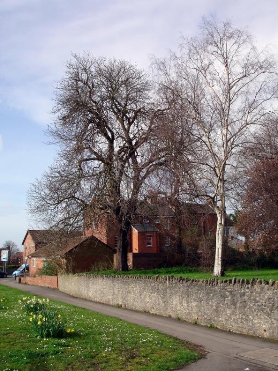 Corner of Hilperton Road and The Halve