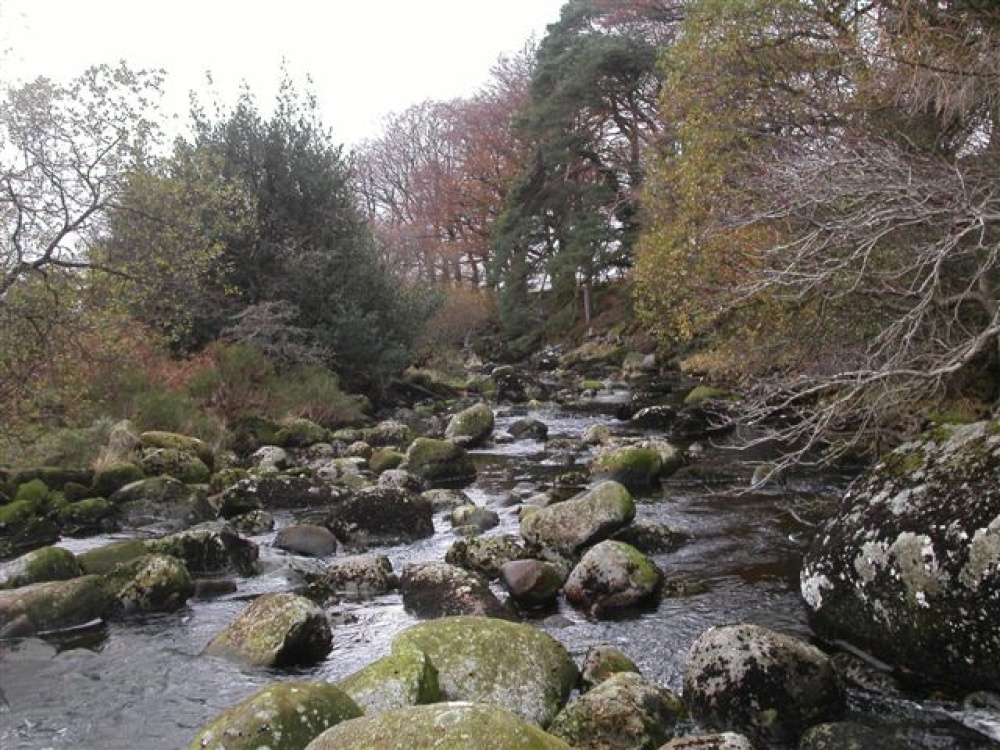 Tavy Cleave. Dartmoor