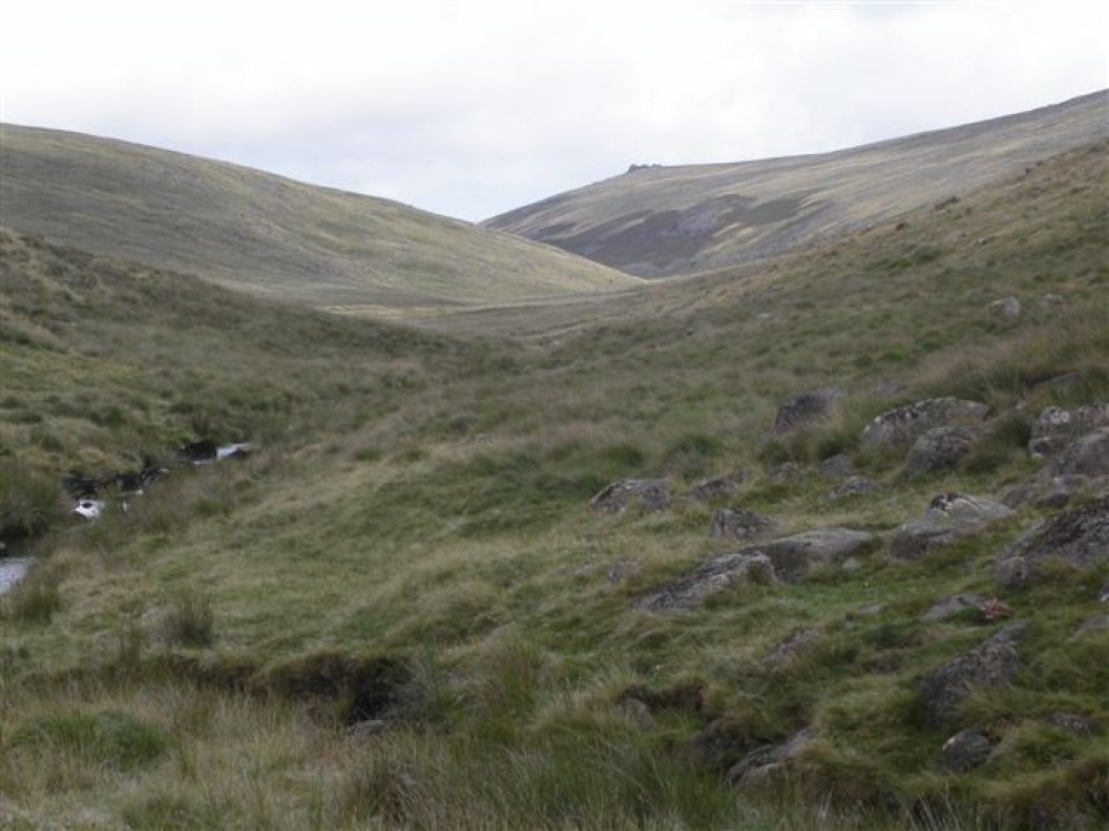 Looking down the river Okemont. Dartmoor