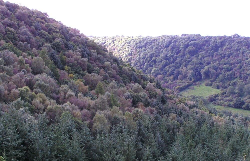 The Rolling North Yorkshire Moors, Nr. Scarborough