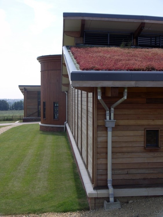 Brading Roman Villa sedum roof