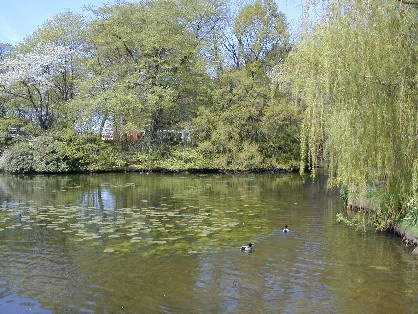 Lake Carter