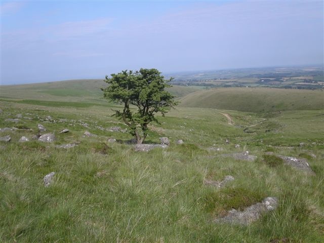 View near Red a ven, Dartmoor