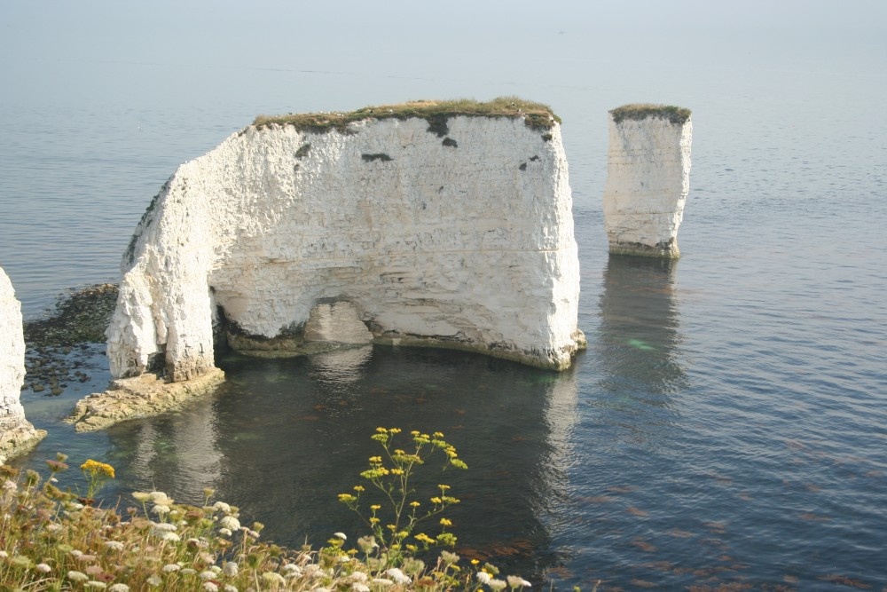 Harrys Rock, Studland, Dorset