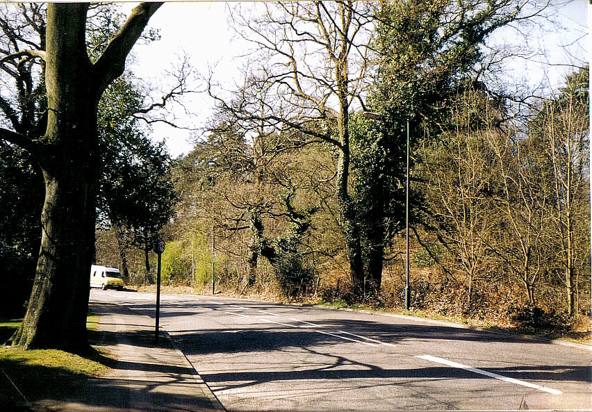 Photograph of Oxshott, Surrey