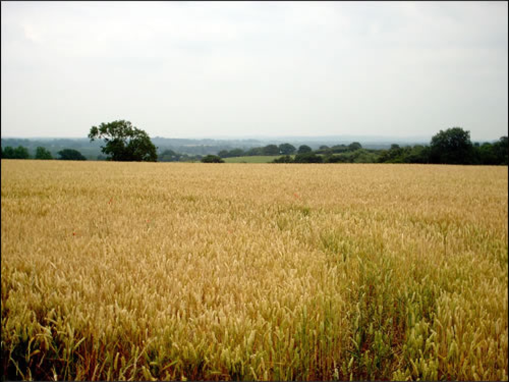 South of Ticknal, Derbyshire