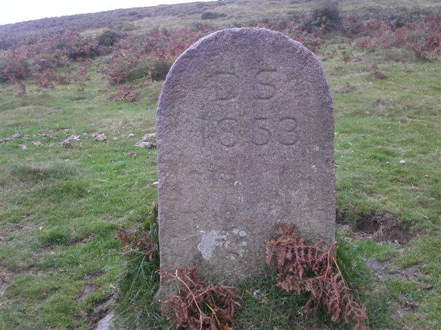 Victoria Stone, Dartmoor