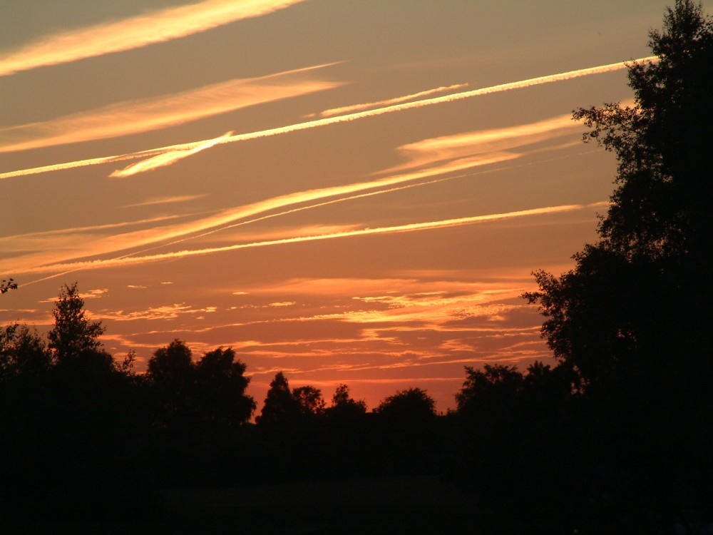 New Forest sunset at ocnell plain