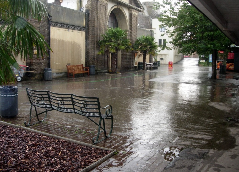 Nice English Weather..., London Zoo