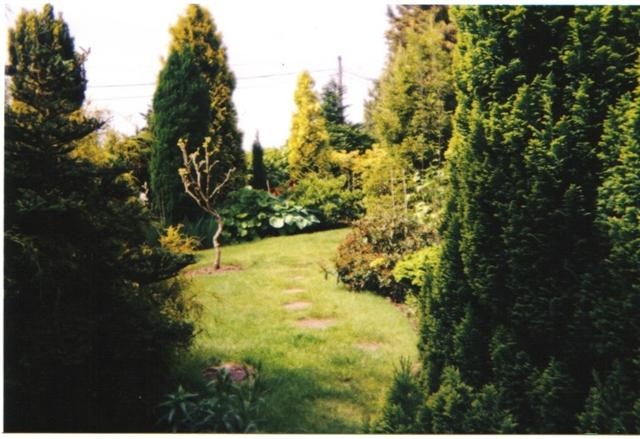 Dad's garden at Strawberry Cottage, Newnham Bridge, nr Tenbury