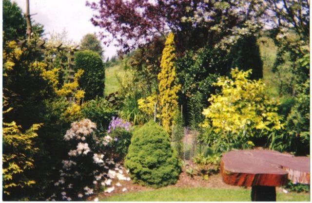 Another pic of Dad's garden at - Strawberry Cottage, Newnham Bridge, nr Tenbury