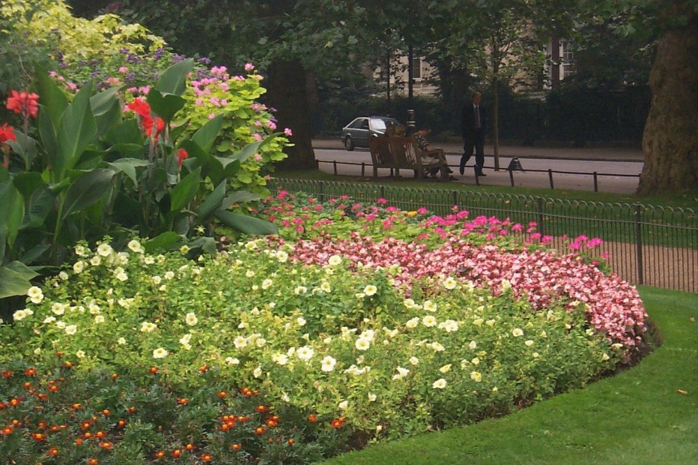 Flowers in London