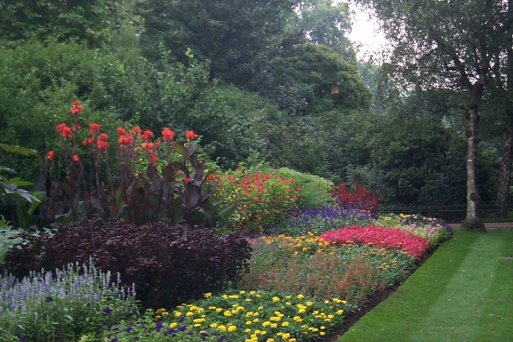 Flowers in London