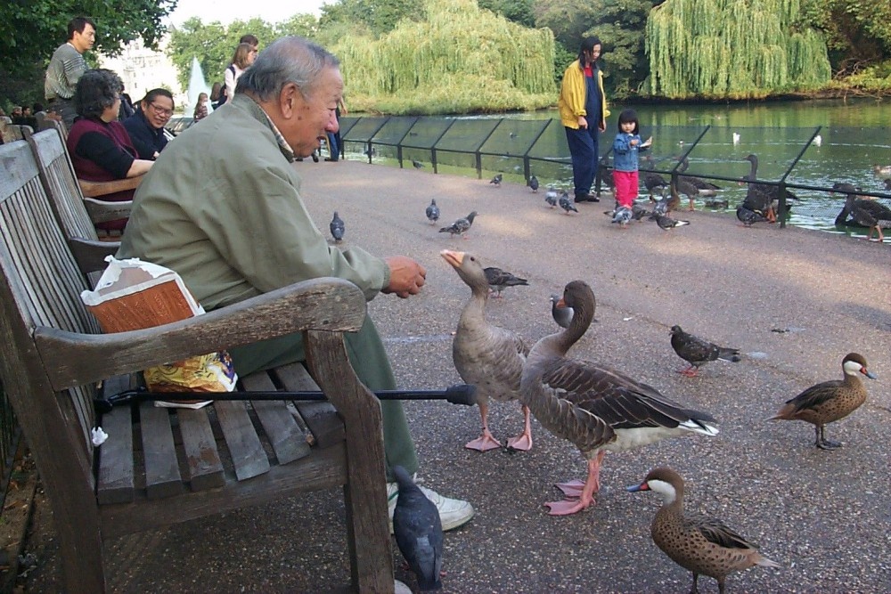 London, St. James's Park