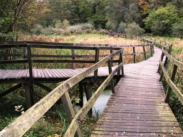 Wakehurst Place, West Sussex