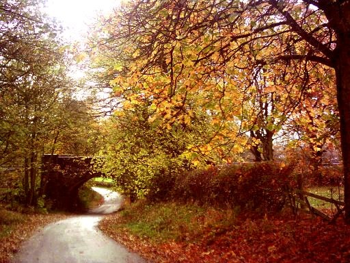 Aston Bridge, Derbyshire