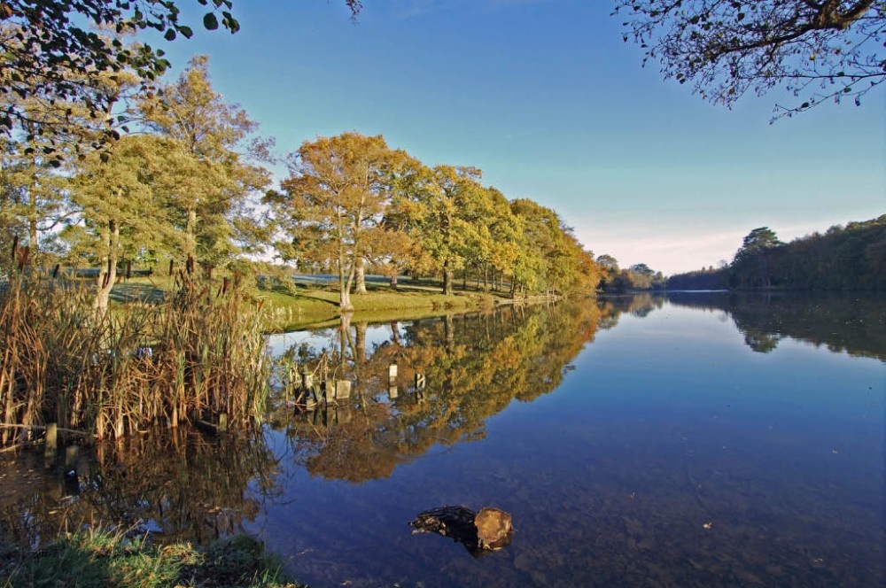 Photograph of Lake near Combrook in Warwickshire, England