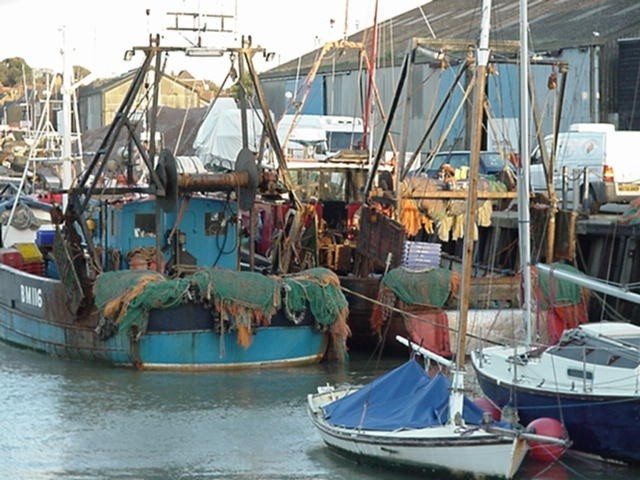 Fishing boats in the harbour. Whitstable, Kent