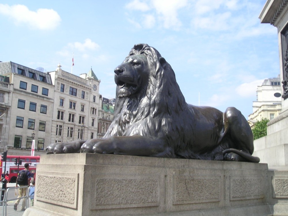 Trafalgar Square: lion