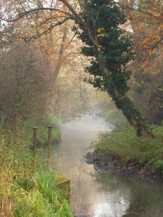 Morden hall park., Morden , Surrey - Dec 2005